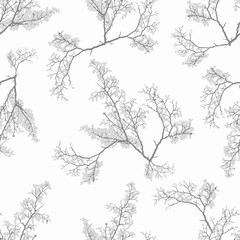 Botanic Motif Nature Print Seamless Pattern