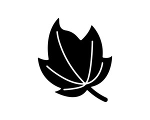 leaves icon design illustration,glyph style design, designed for web and app