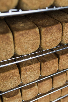 Freshly baked loaves of  sprouted organic bread on a cooling rack.