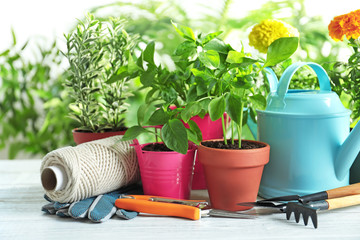 Plants and gardening tools on wooden table