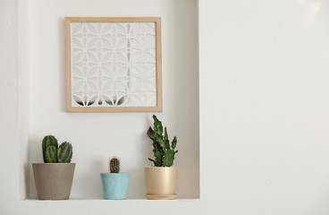 Beautiful different cacti as decoration in niche - obrazy, fototapety, plakaty