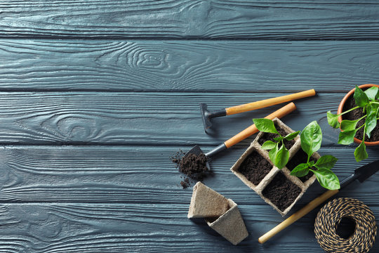 Flat lay composition with gardening tools and plants on wooden background