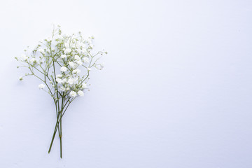 Baby's Breath Desktop Mockups