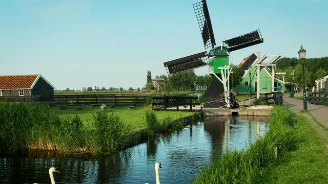 Swans in canal at windmills at Zaanse Schans in Holland. Zaandam, Netherlands