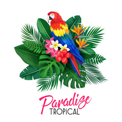 tropical banner with toucan