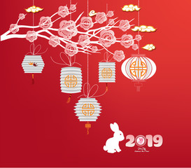 Fototapeta na wymiar Sparkling chinese new year 2019 ornaments