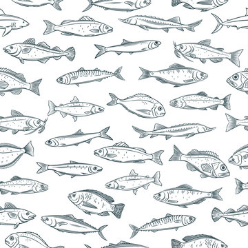 Seamless Pattern Hand Drawn Fish