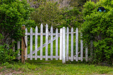 A rustic fence in Maine.