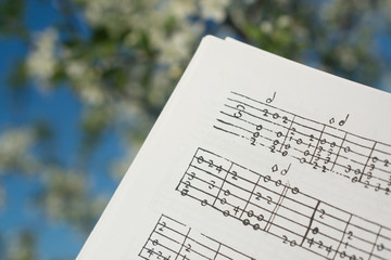 Lute tabulature against the background of flowering trees