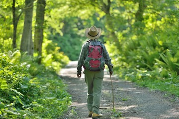 トレッキング・新緑の森を歩く 
