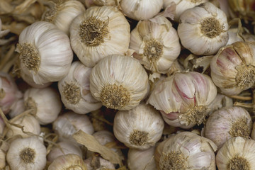 A pile of garlics