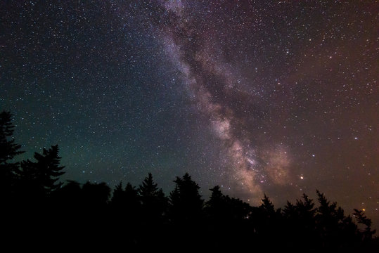 Fototapeta The Milky Way Over Trees in Acadia National Park