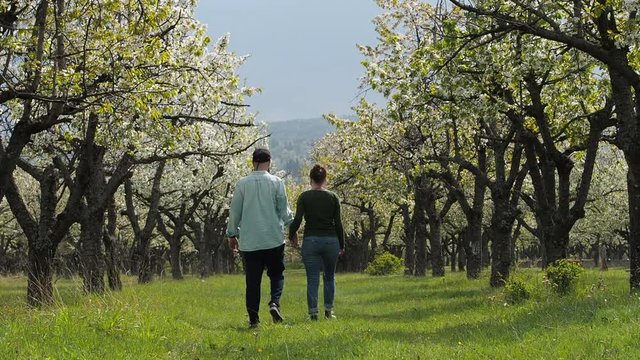 A young couple in love stroll together through a beautiful forest with their pet dog. In slow motion.