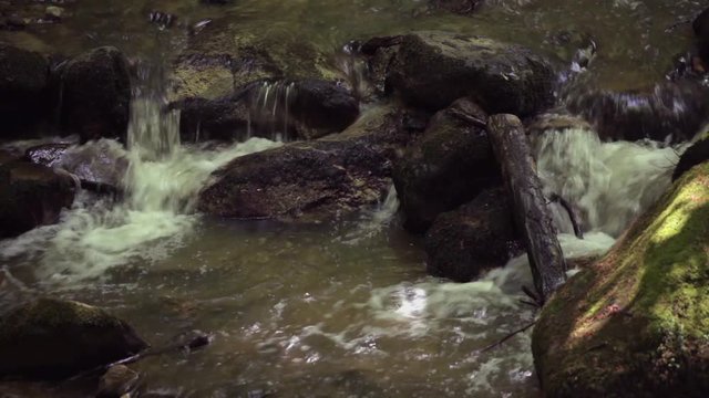 Small creek in deciduous forest in high mountains, Telephoto lens close-up footage, no people