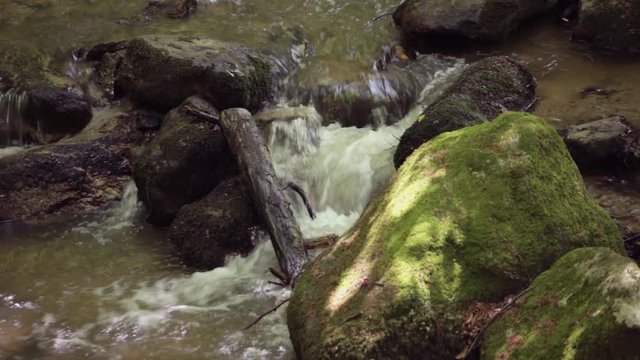 Small creek in deciduous forest in high mountains, Telephoto lens close-up footage, no people