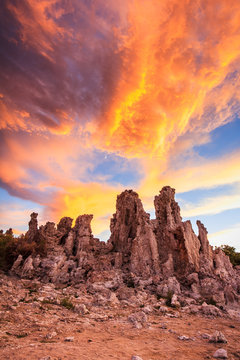 Spirit of Mono Lake