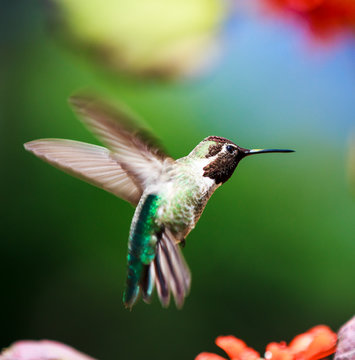 Hovering