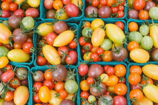 Juicy colorful tomatoes at farmer's market