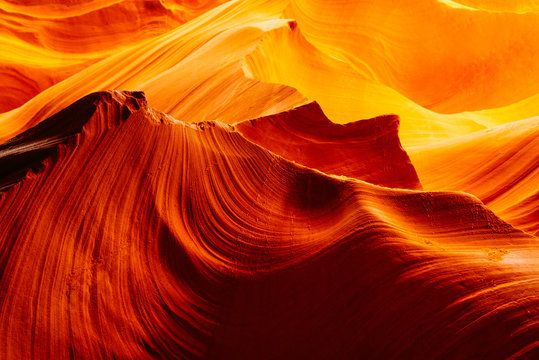 Golden Wave