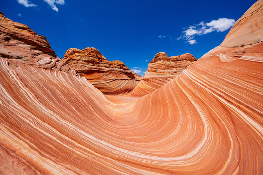 The Wild Wave