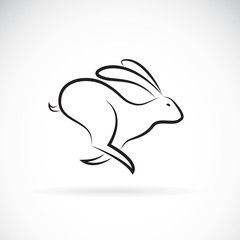 Fototapeta premium Vector of rabbit is running on white background. Wild Animals. Black bunny. Easy editable layered vector illustration.