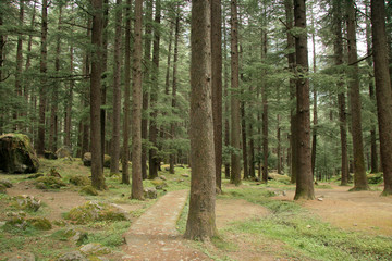 Manali, India