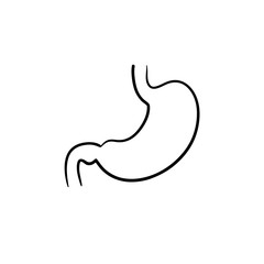 Fototapeta na wymiar Stomach digestion hand drawn outline doodle icon. Digestive tract and alimentary canal concept vector sketch illustration for print, web, mobile and infographics isolated on white background.