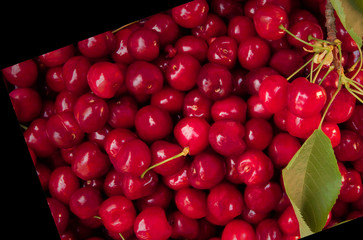 Cherry or the Cherry-Bird (Latin Prúnus ávium). Fruits on a black background. Berries of ripe cherries. Add to your diet. Healthy eating. Vitamin supplement. A place to copy.
