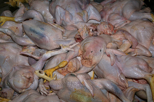 Crawford Market, Mumbai, India