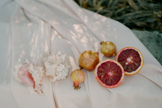 Fruit & Shells Arrangement