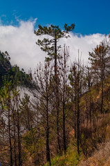 Spectacular views in the mountains. Madeira. Portugal