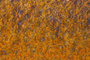 Stone texture and background