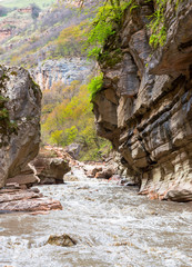Fototapeta na wymiar Mountain river stretching along the cliffs