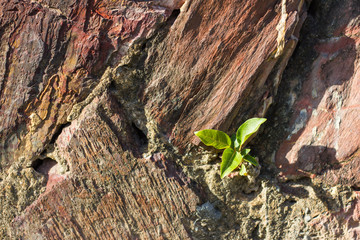 Stone texture and background