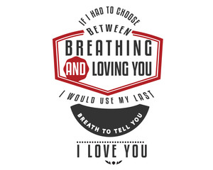 If I had to choose between breathing and loving you I would use my last breath to tell you I love you.