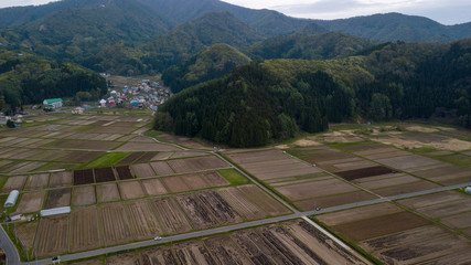 aerial view of  Rice fields in japan