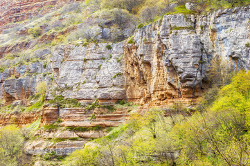 Rock formations, trees on the slopes, mountain plateau