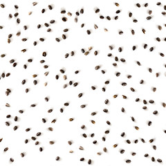 Chia Seed Pattern. Chia seeds isolated on white background. Closeup. Top view.