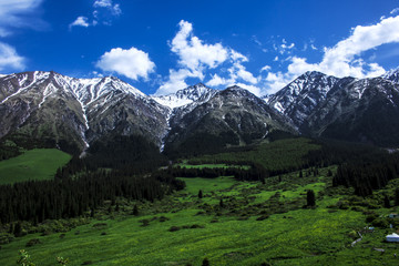 Fototapeta na wymiar Mountains of Kyrgyzstan