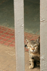 Victoria Terminus, Mumbai, India