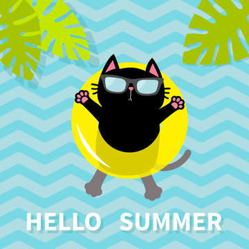 Hello Summer. Black cat floating on yellow air pool water circle. Lifebuoy. Palm tree leaf. Cute cartoon relaxing character. Sunglasses. Water with waves. Flat design.