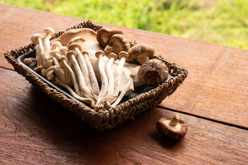 Mixed organic mushrooms in basket on wooden table with nature background