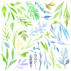 Botanical clipart. Set of Green leaves, herbs and branches. Floral Design elements. Perfect for wedding invitations, greeting cards, blogs, posters and more. Watercolor illustrations.