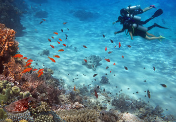 Coral reef and three divers