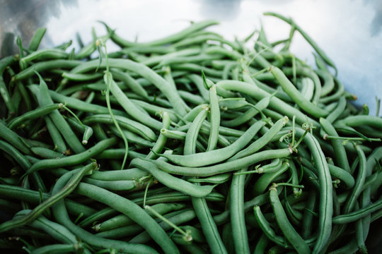 Fresh picked green beans.