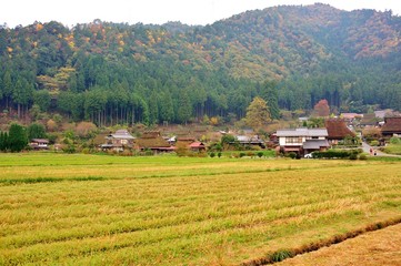 Fototapeta na wymiar 稲刈りのあと./稲を刈ったあとの京都美山町の風景です.