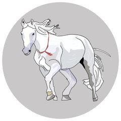 White horse with a red ornament on the neck. 