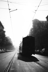 City tram and tram lines - Black and White