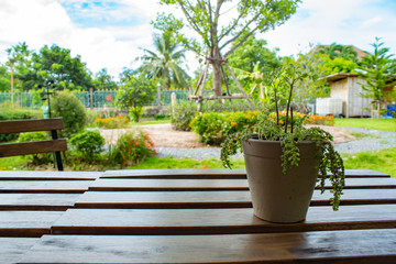 A small tree with the table for beauty.