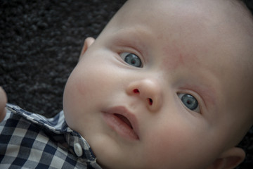 Four month old baby boy with blue eyes, wearing a blue check shirt